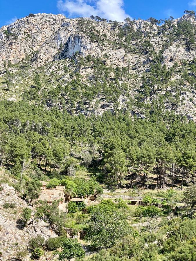 Finca Ses Fontanelles Andratx Exterior foto