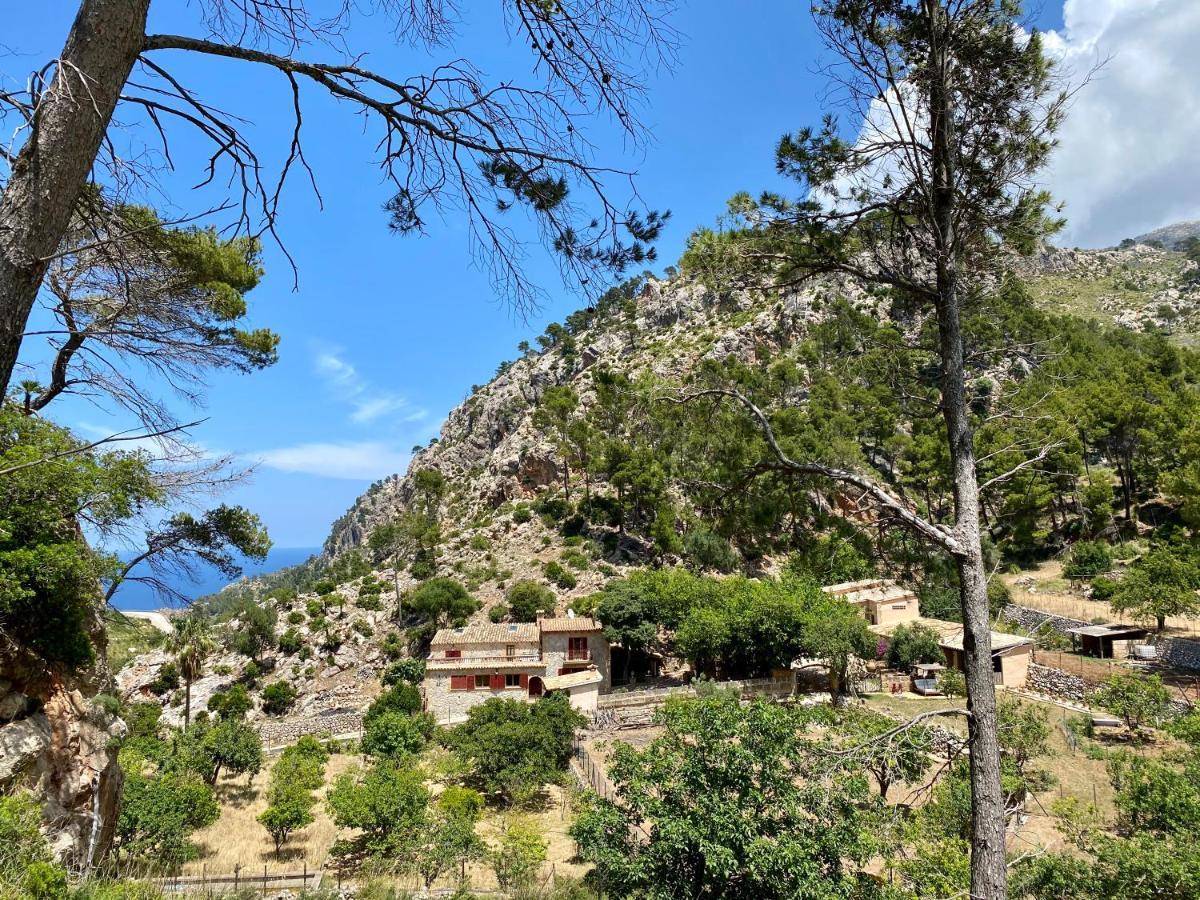 Finca Ses Fontanelles Andratx Exterior foto
