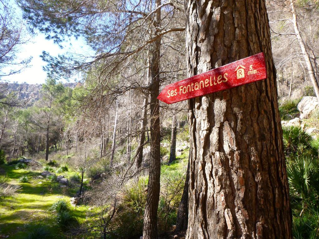 Finca Ses Fontanelles Andratx Exterior foto