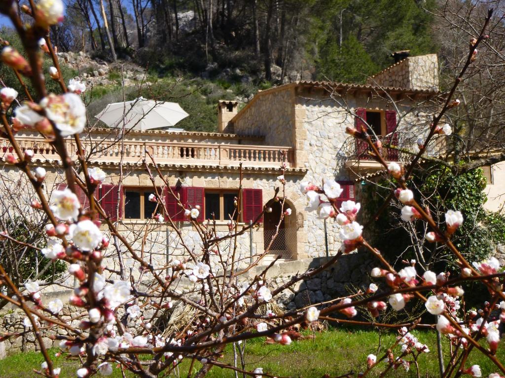 Finca Ses Fontanelles Andratx Exterior foto