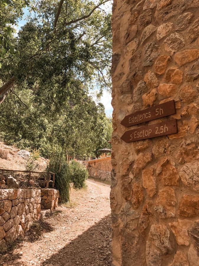 Finca Ses Fontanelles Andratx Exterior foto